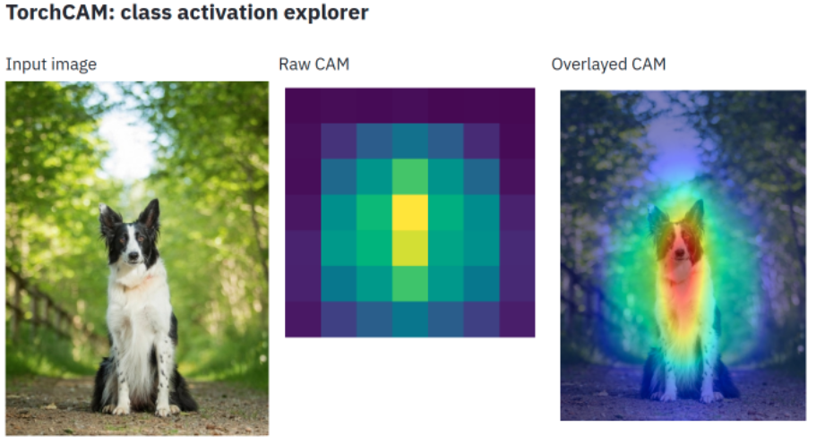 TorchCAM Example