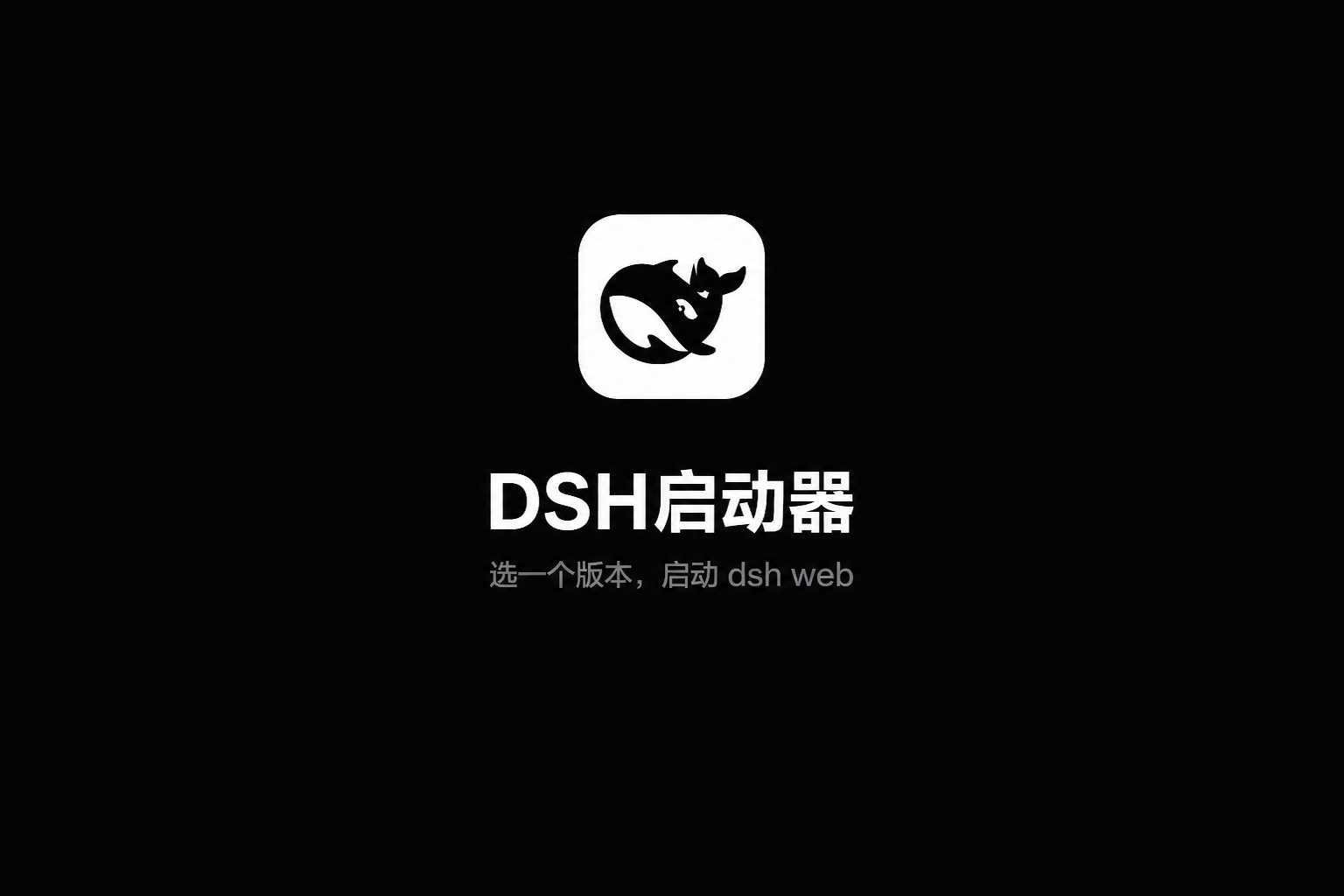 DSH启动器