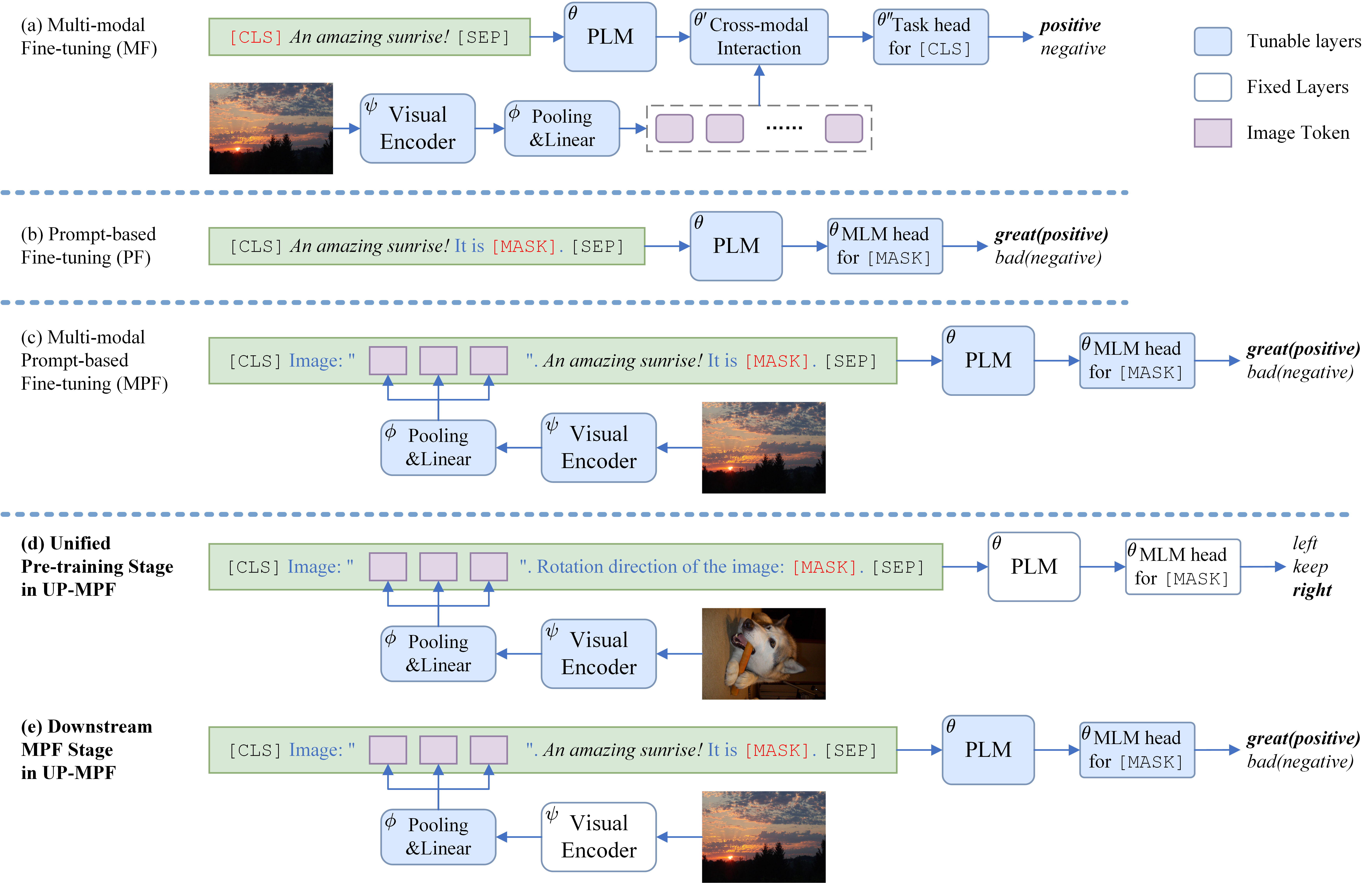 model architectures