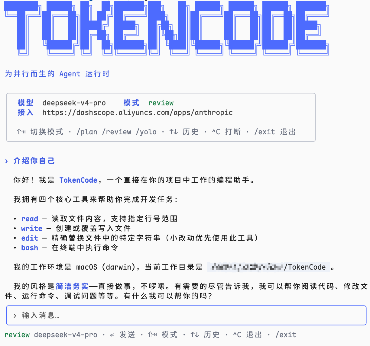 TokenCode TUI 截图