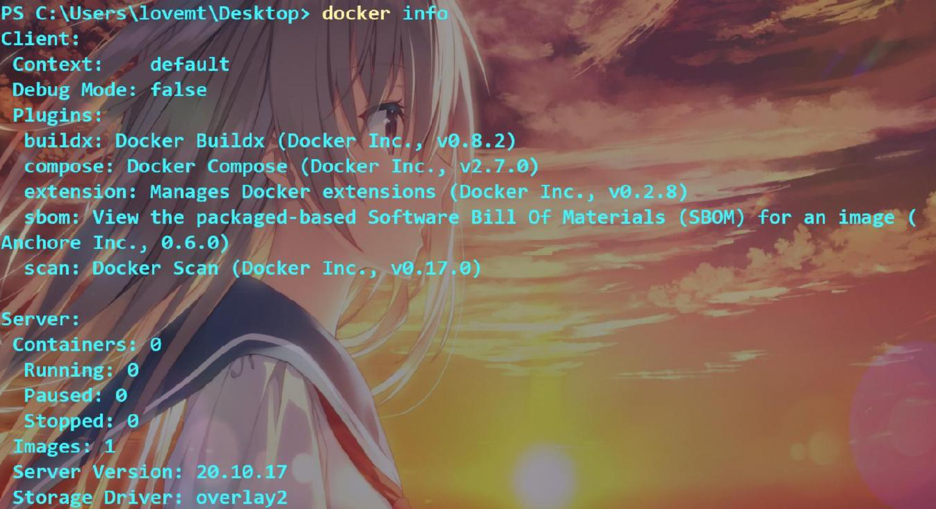 docker安装成功的话