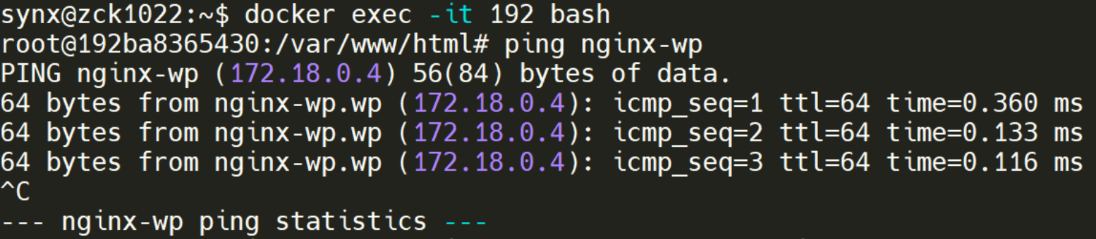 ping nginx