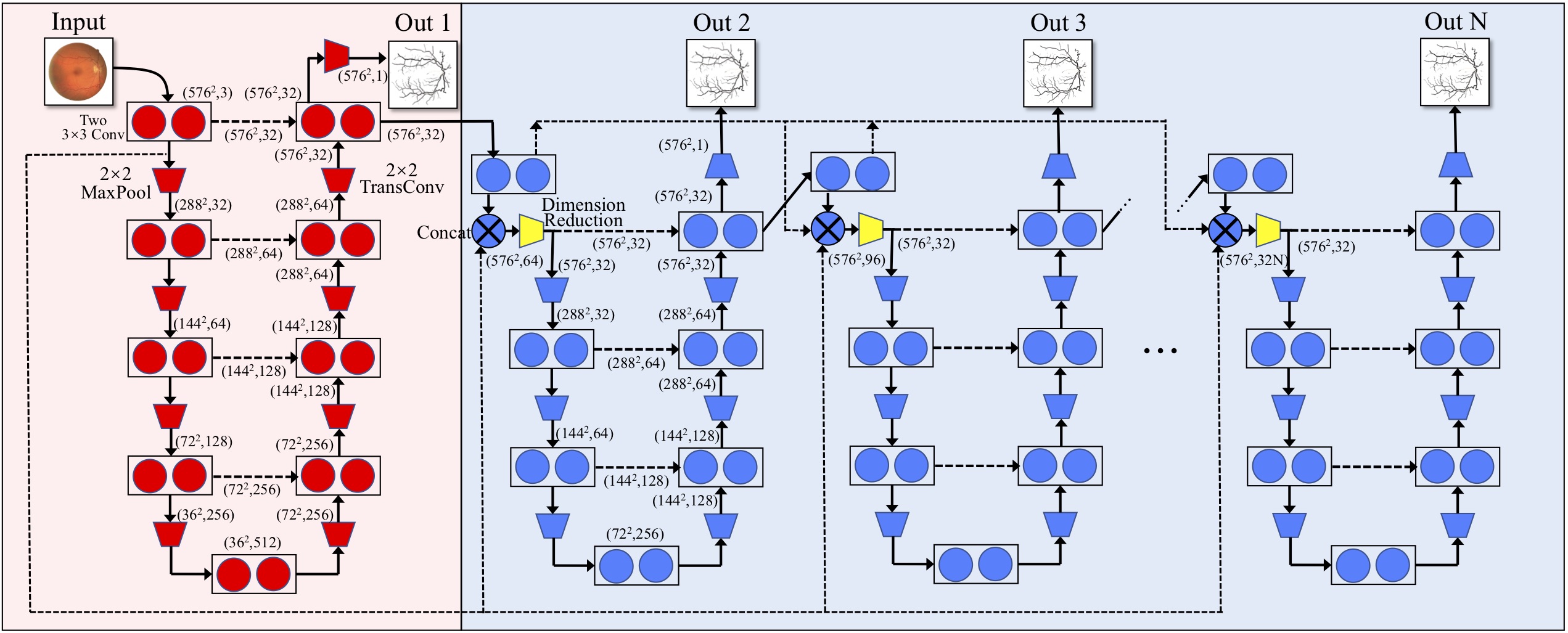 Network Structure