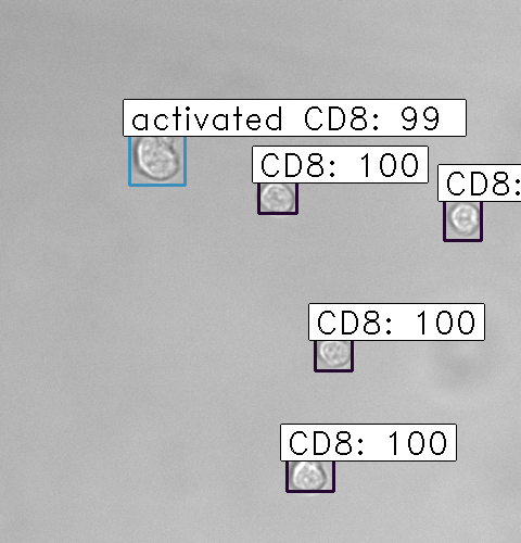 CD8-sample2