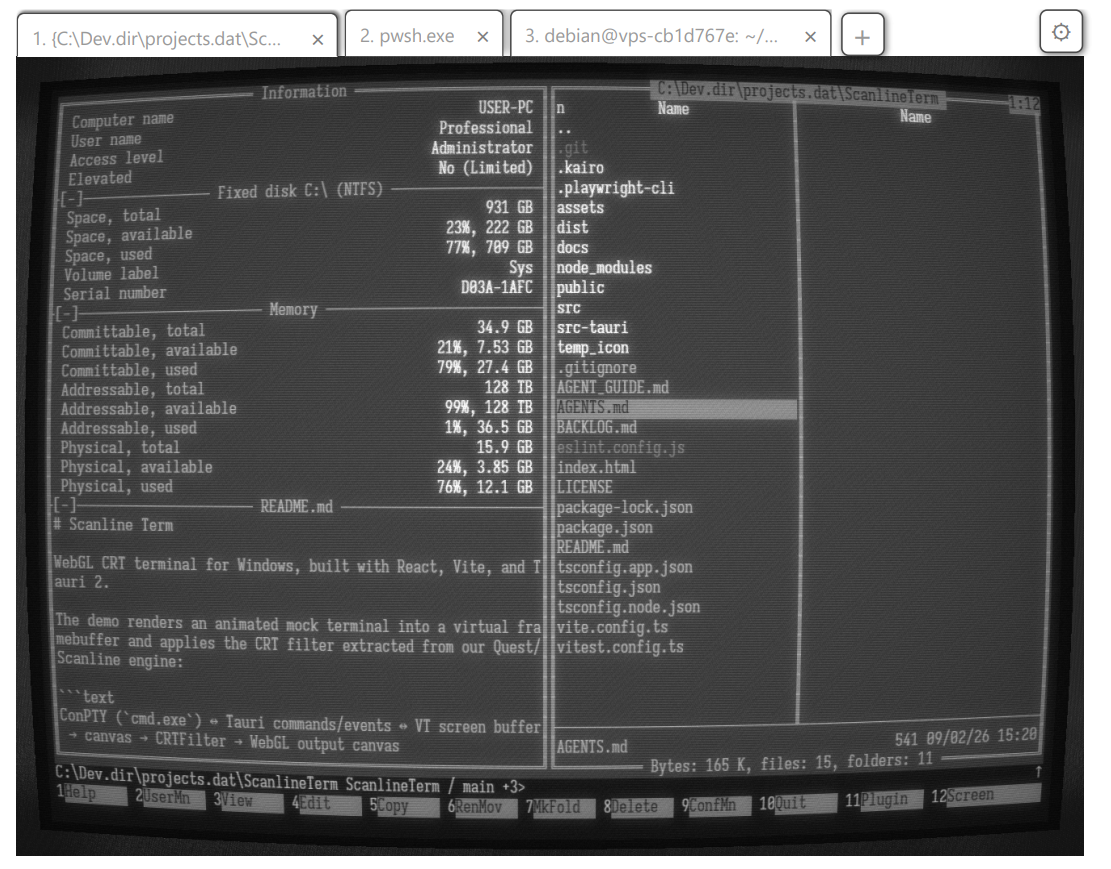 Scanline Term