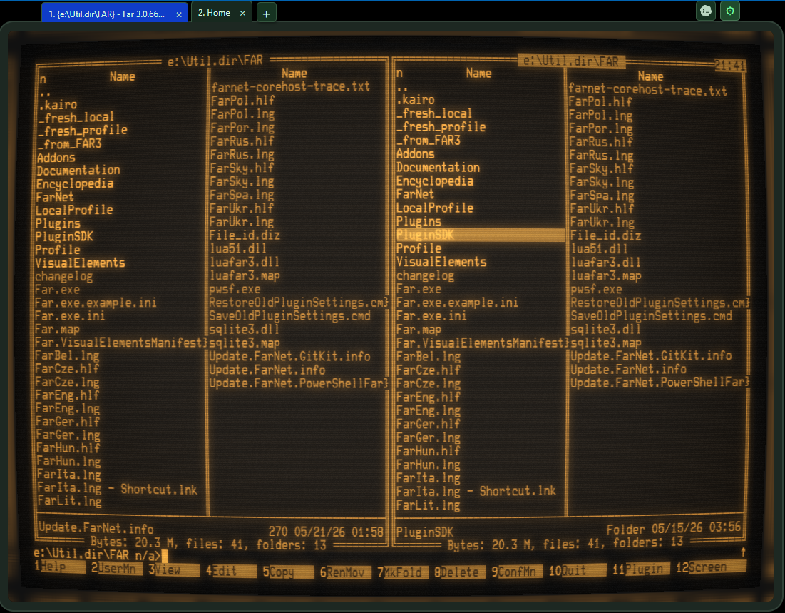 Scanline Term