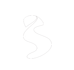 Sodium Logo