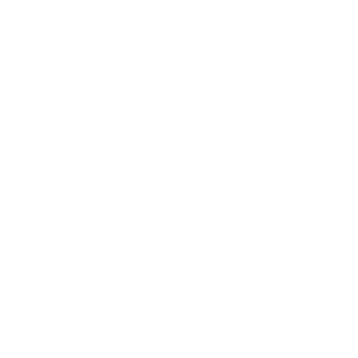 DDSL's icon