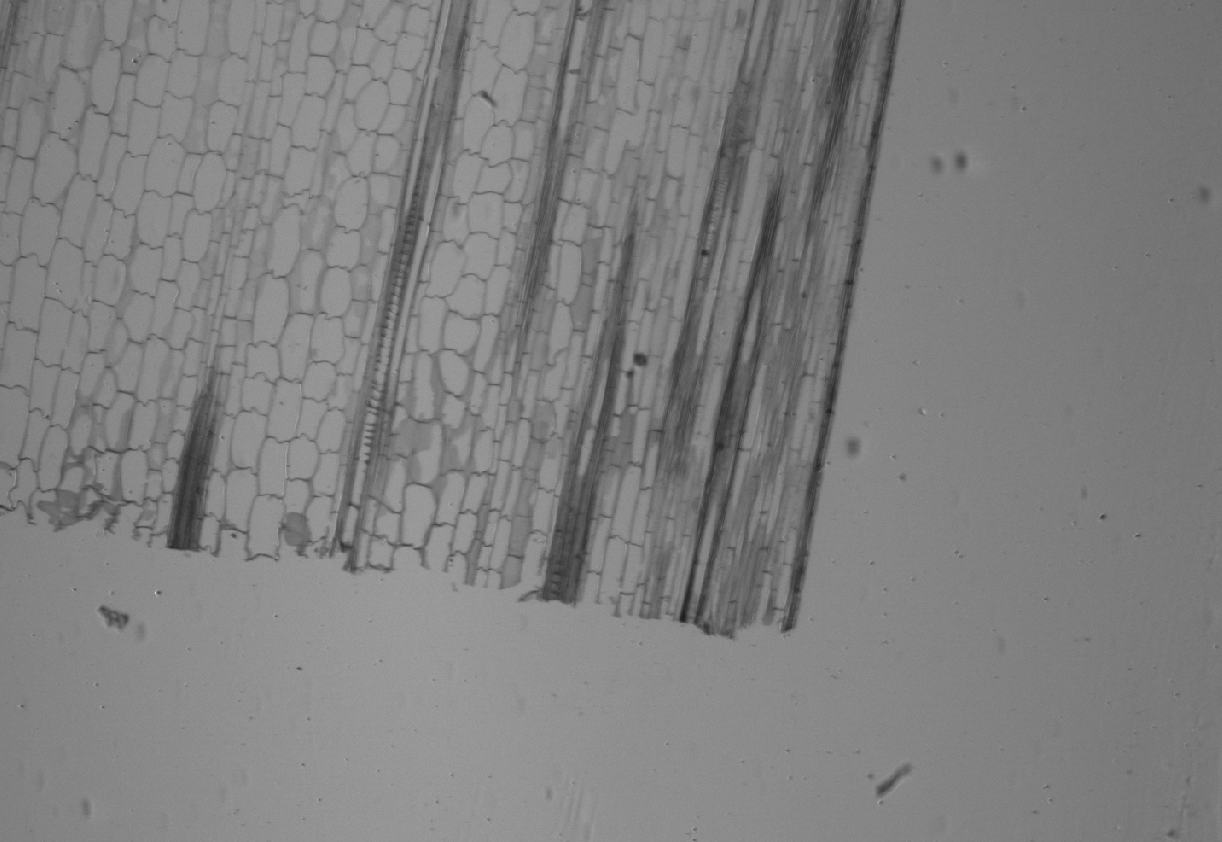 Image of bottom right point