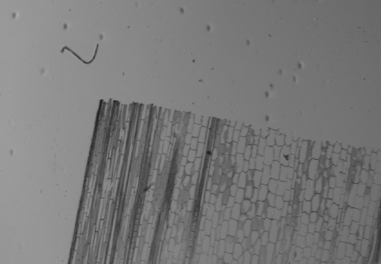Image of top left point