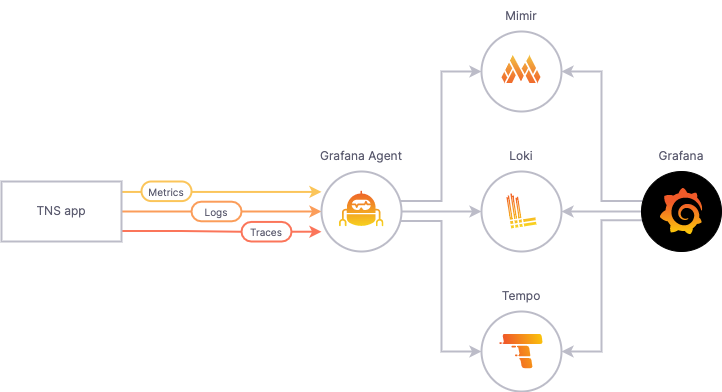 TNS workflow