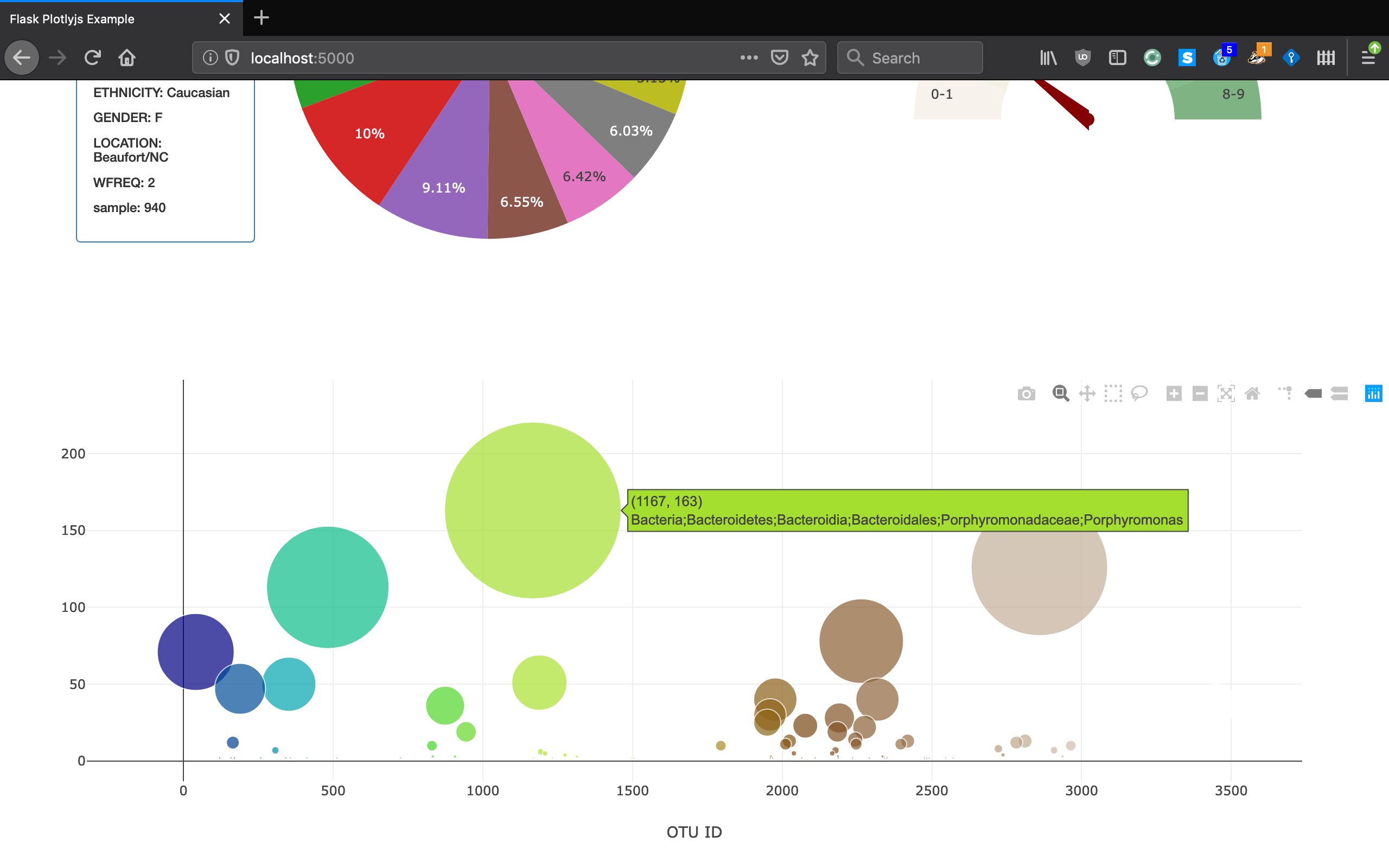 Example Dashboard Page