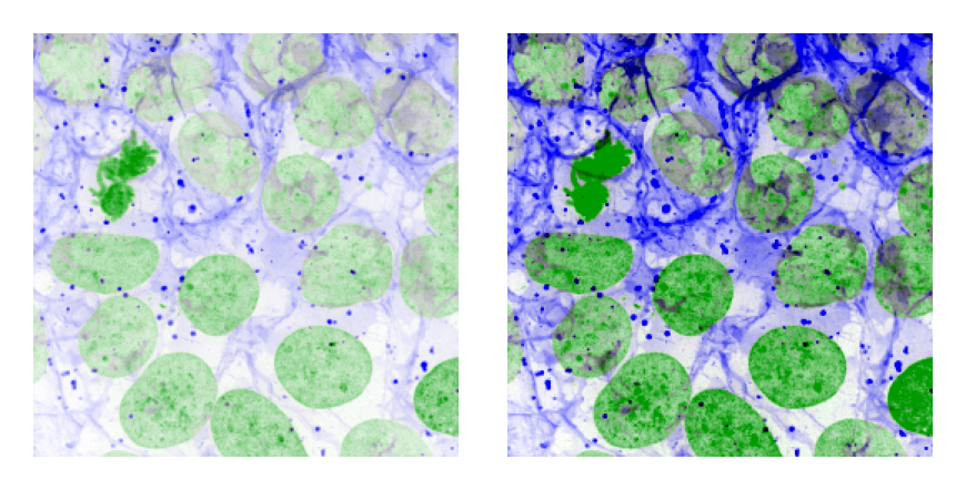 adjust saturation limits
