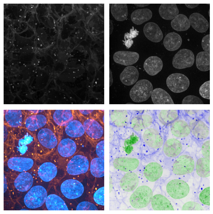 
|
|
98
|
+
![max and min multicolor blending