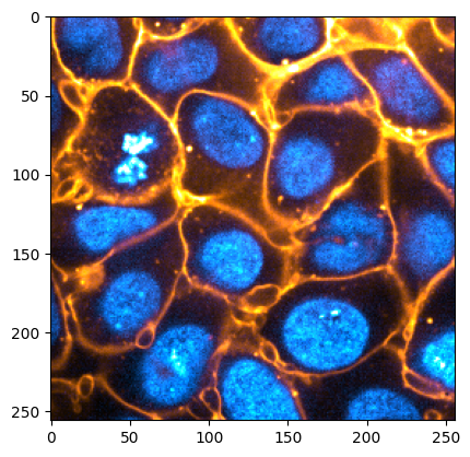 colorize a whole stack of images