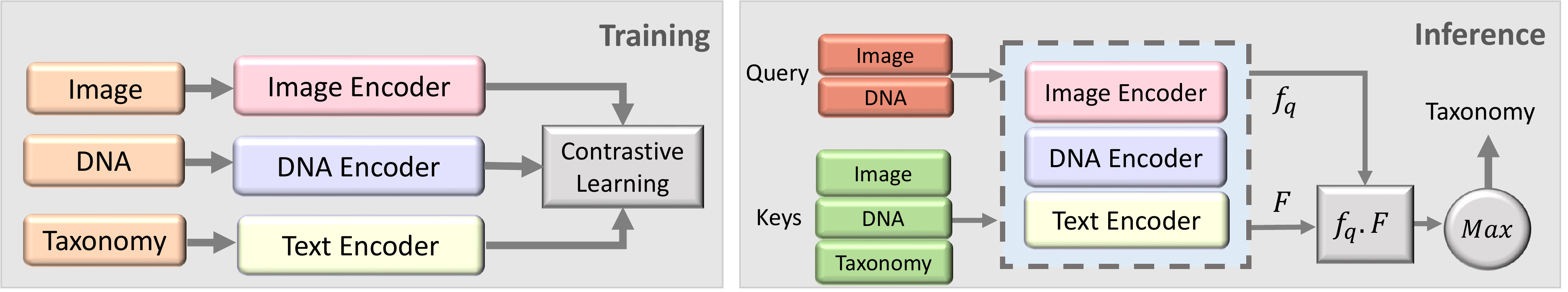 Methodology for BIOSCAN-CLIP experiments.