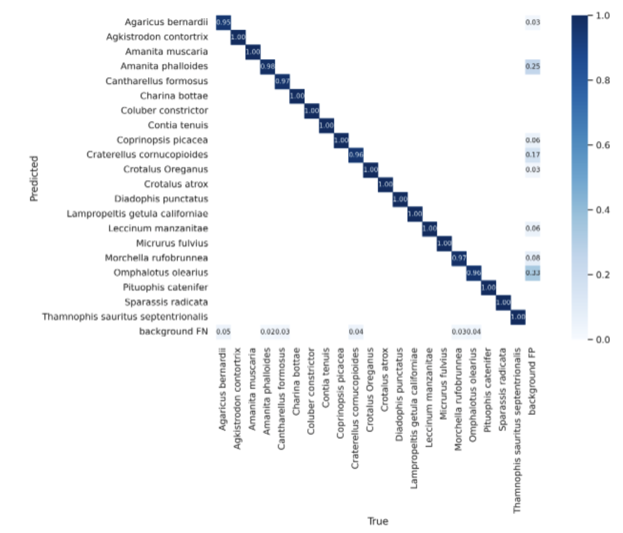 DetoxifAI confusion matrix