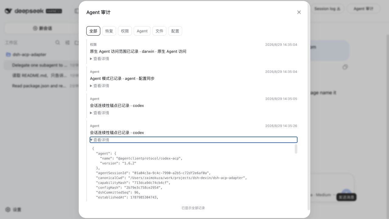 dsh-acp-adapter screenshot 4