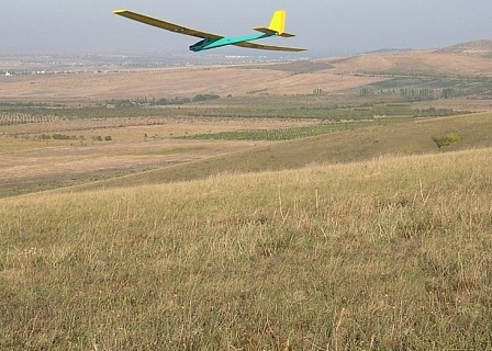 original image r009