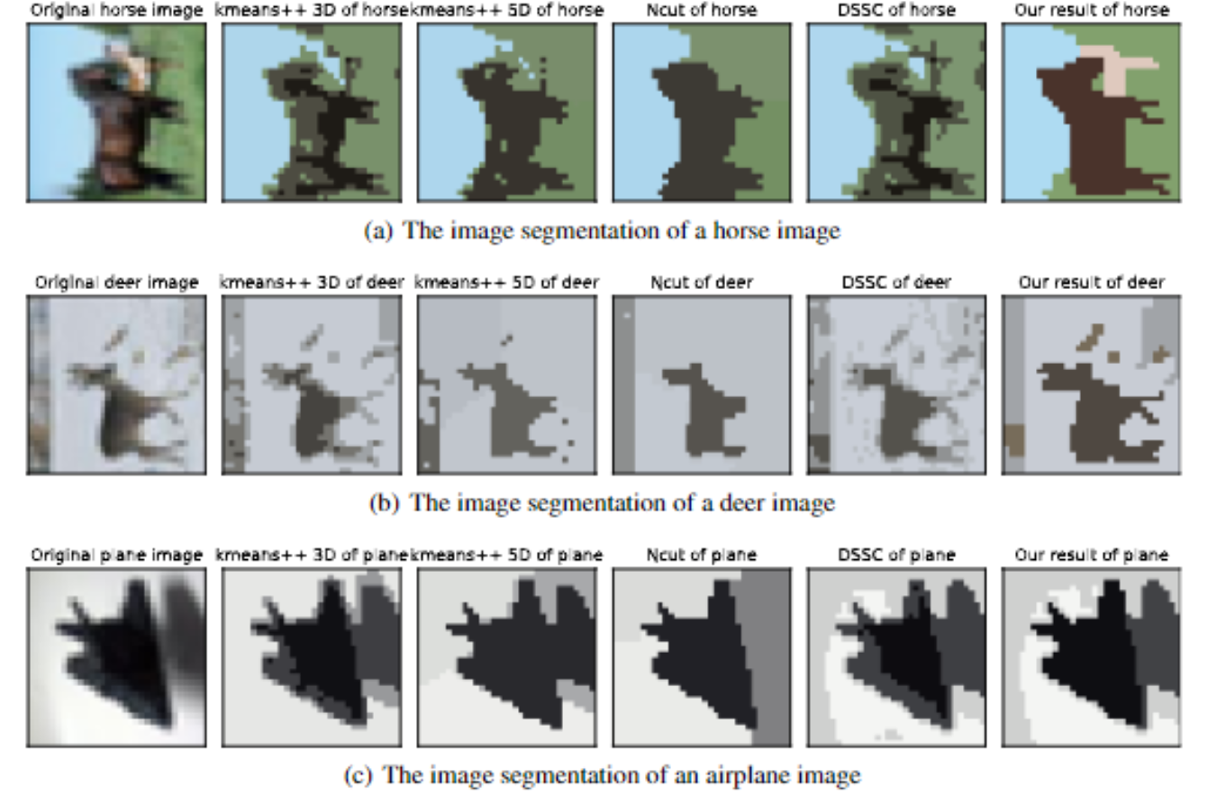 Segmentation results