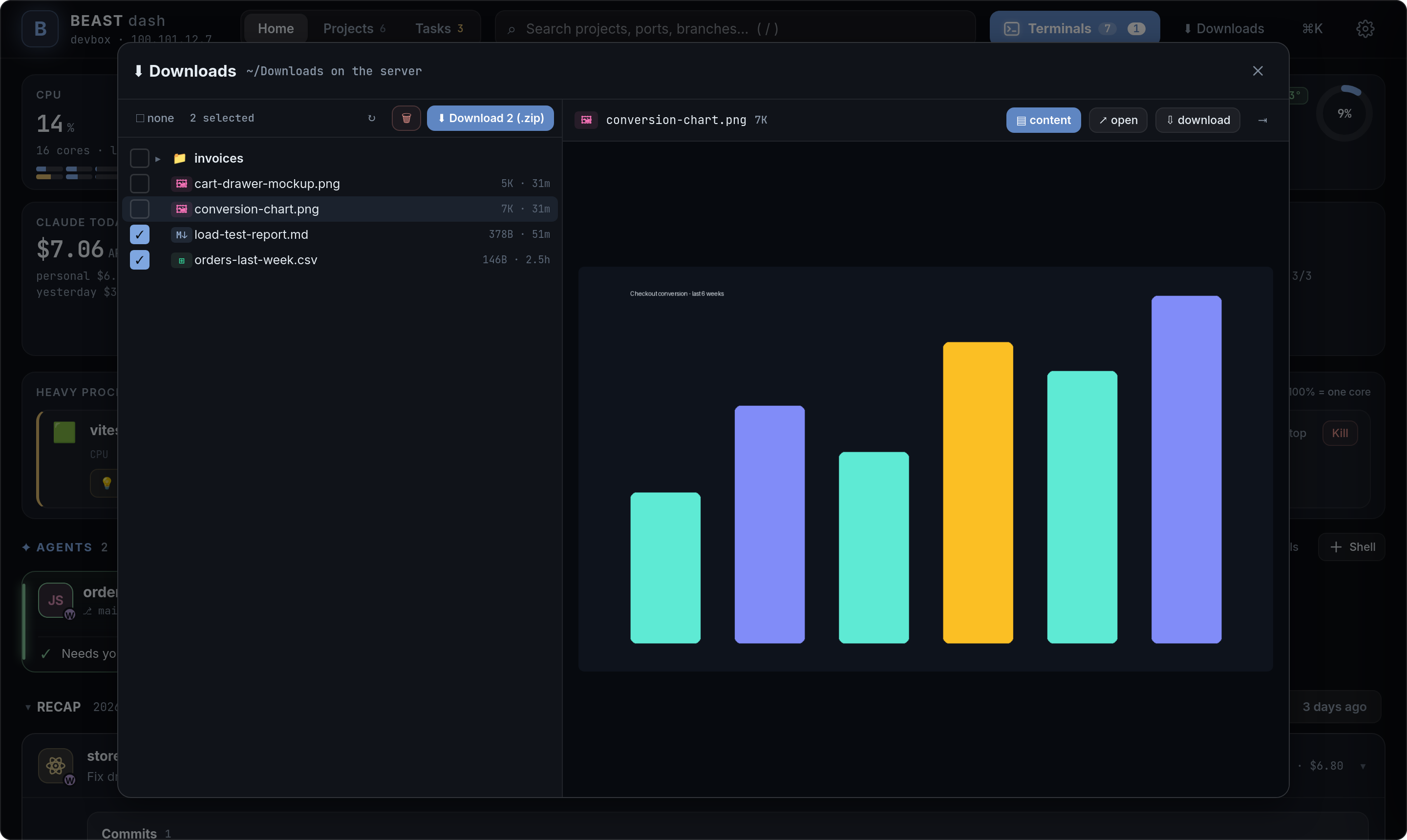 Downloads explorer with an image preview and two files selected
