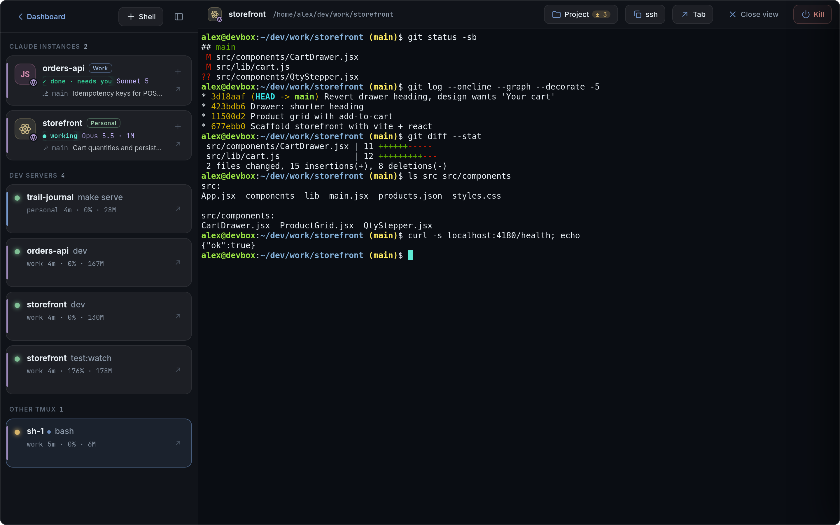 bash in the browser terminal
