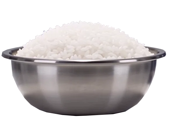 rice bowl