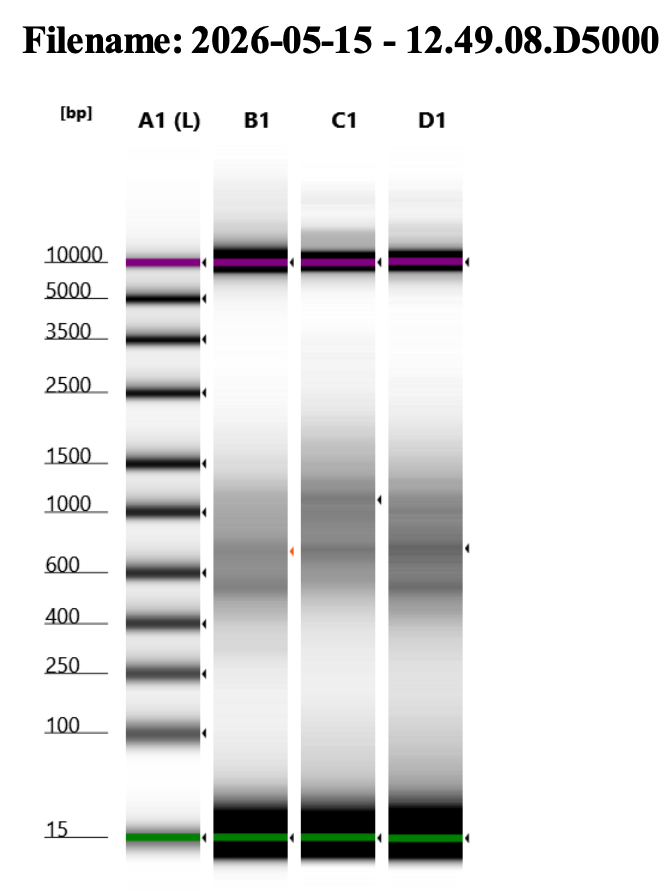cDNA-all.png