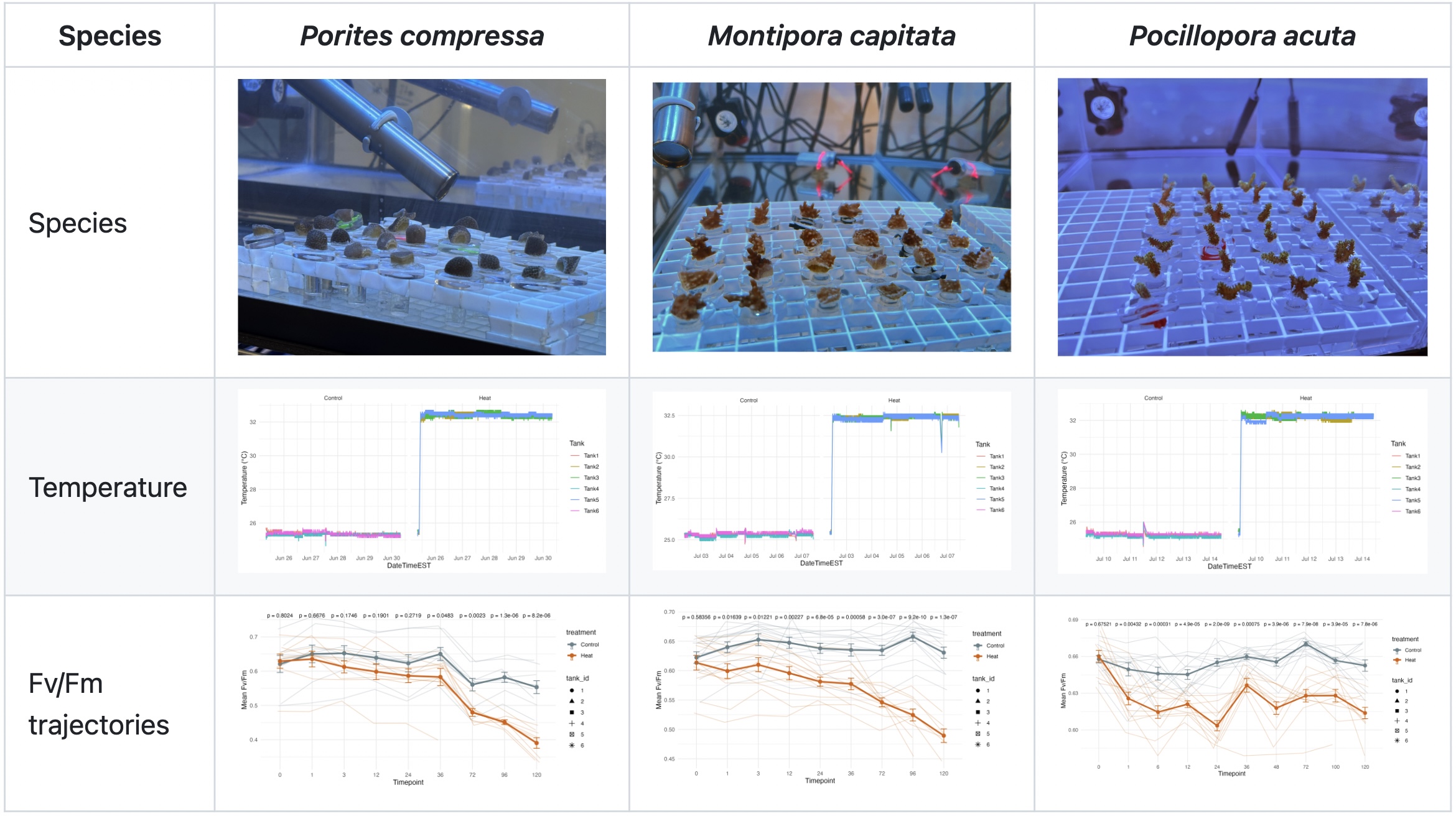 timeseries