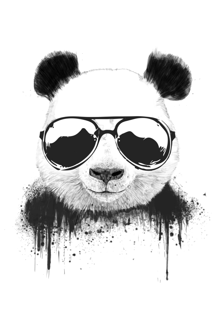 zebbernpanda