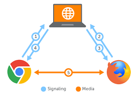 Project Directory Structure