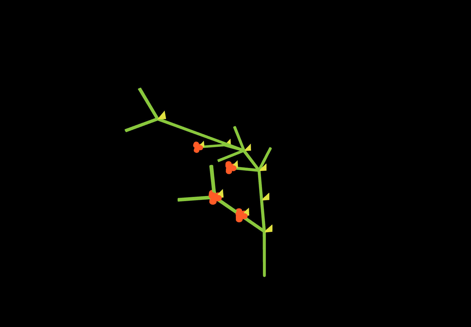 Screenshot C