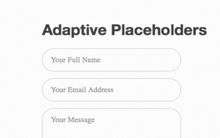 Adaptive Placeholders Input Demo