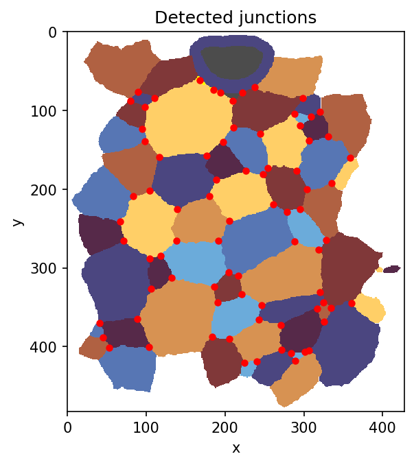 Detected junctions