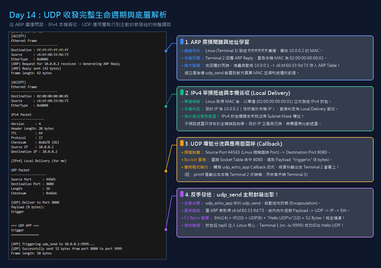 Day 14 UDP 收發完整生命週期與底層解析
