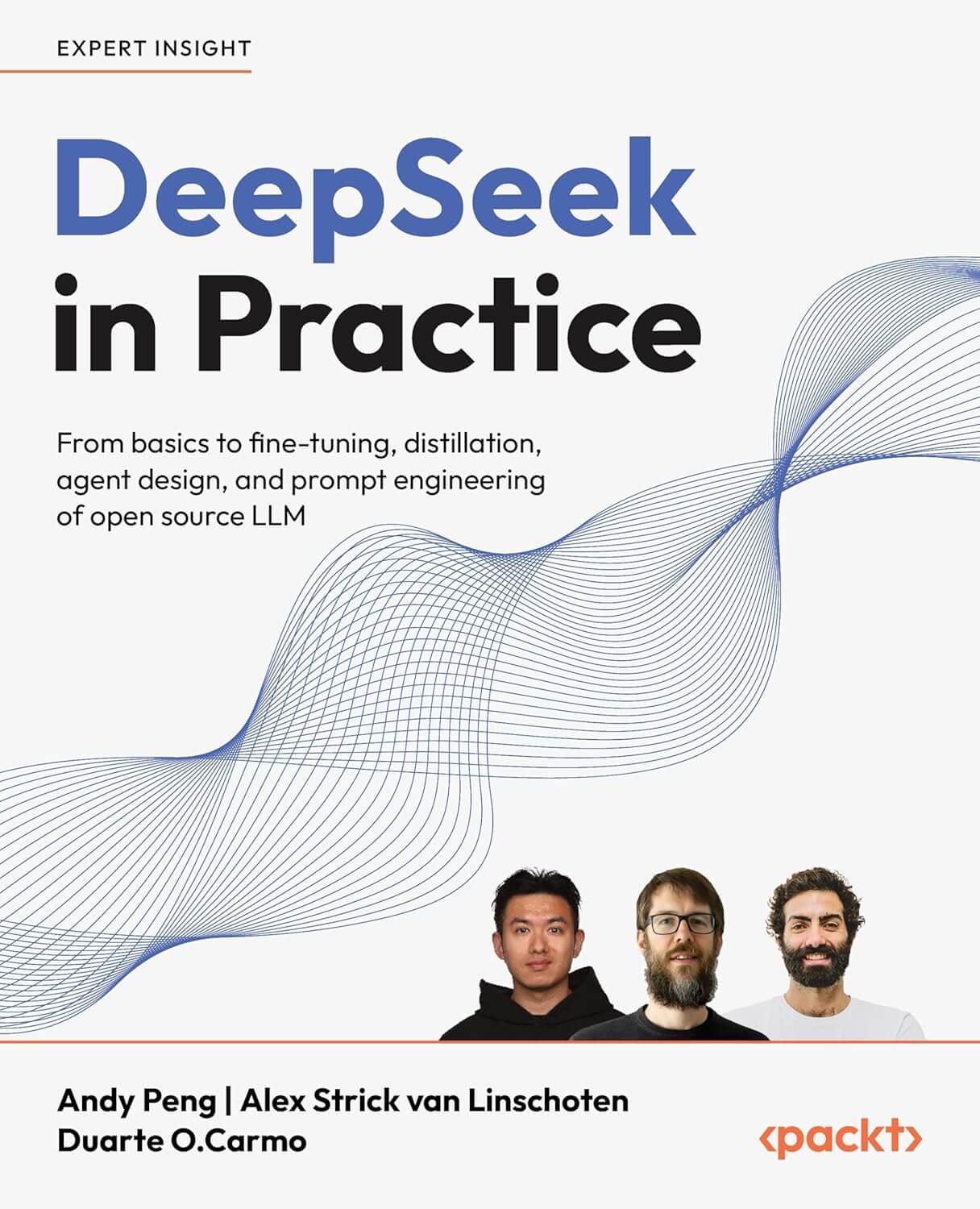 DeepSeek in Practice Cover