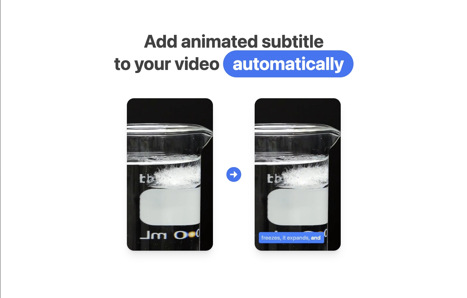 vista - automatic, animated subtitle generation for short-form video