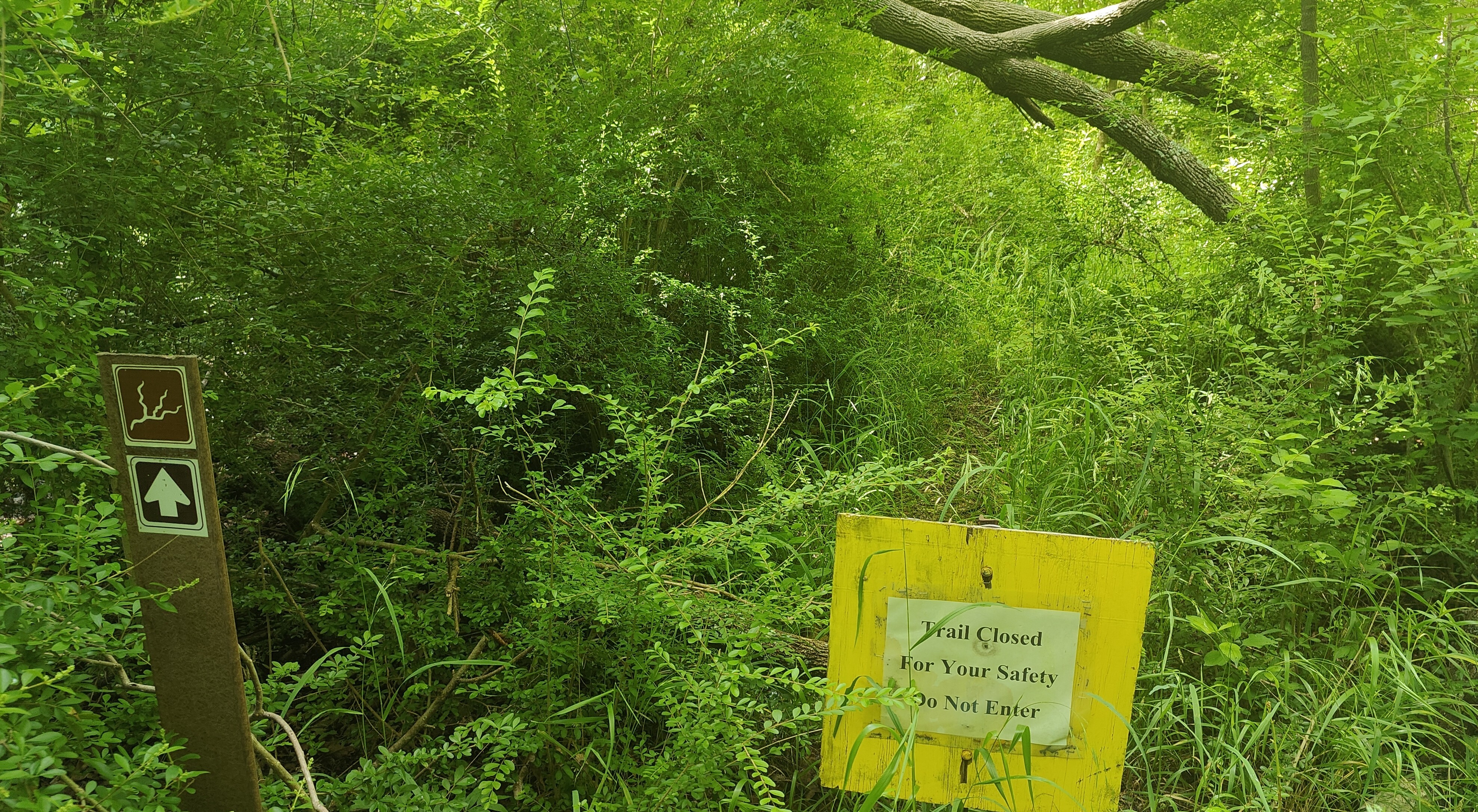 Forked Tail Creek 这条步道被关闭的提示牌