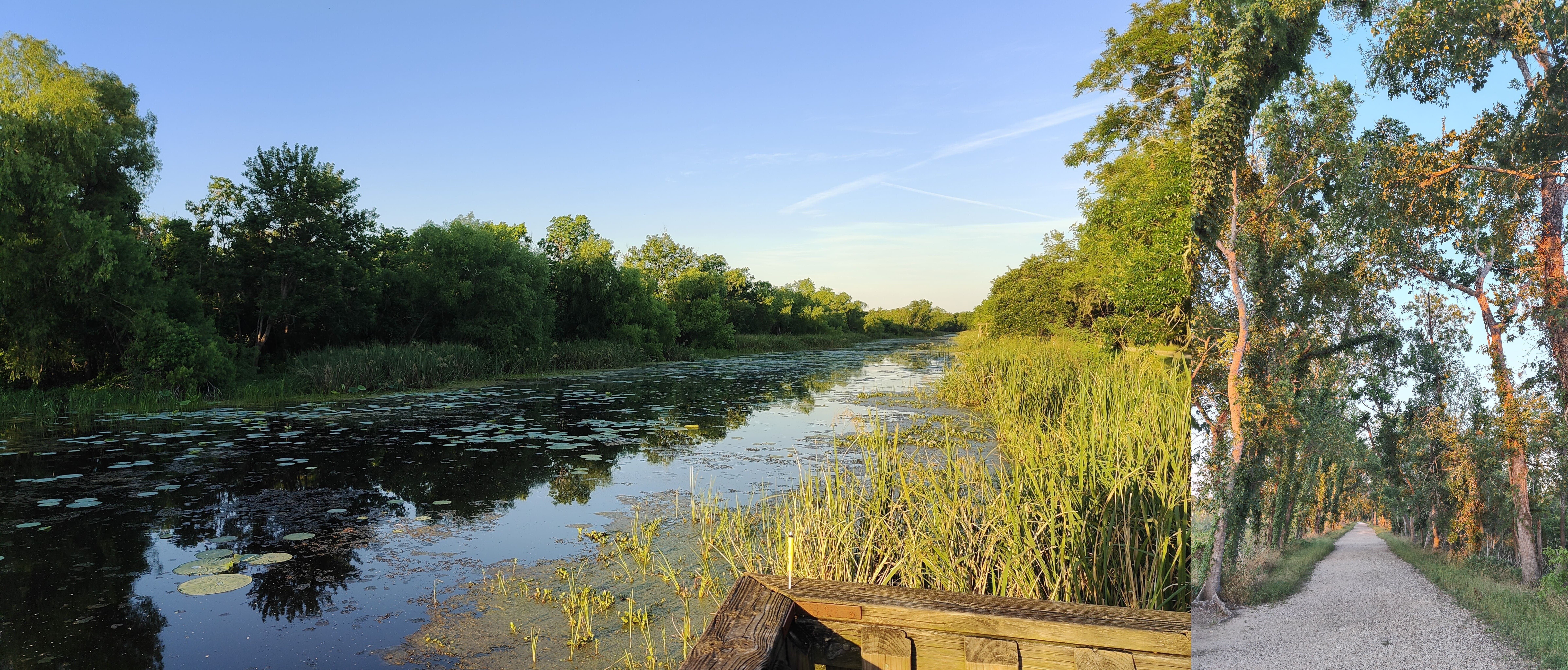 左:Elm Lake 风景;右:湖边的路