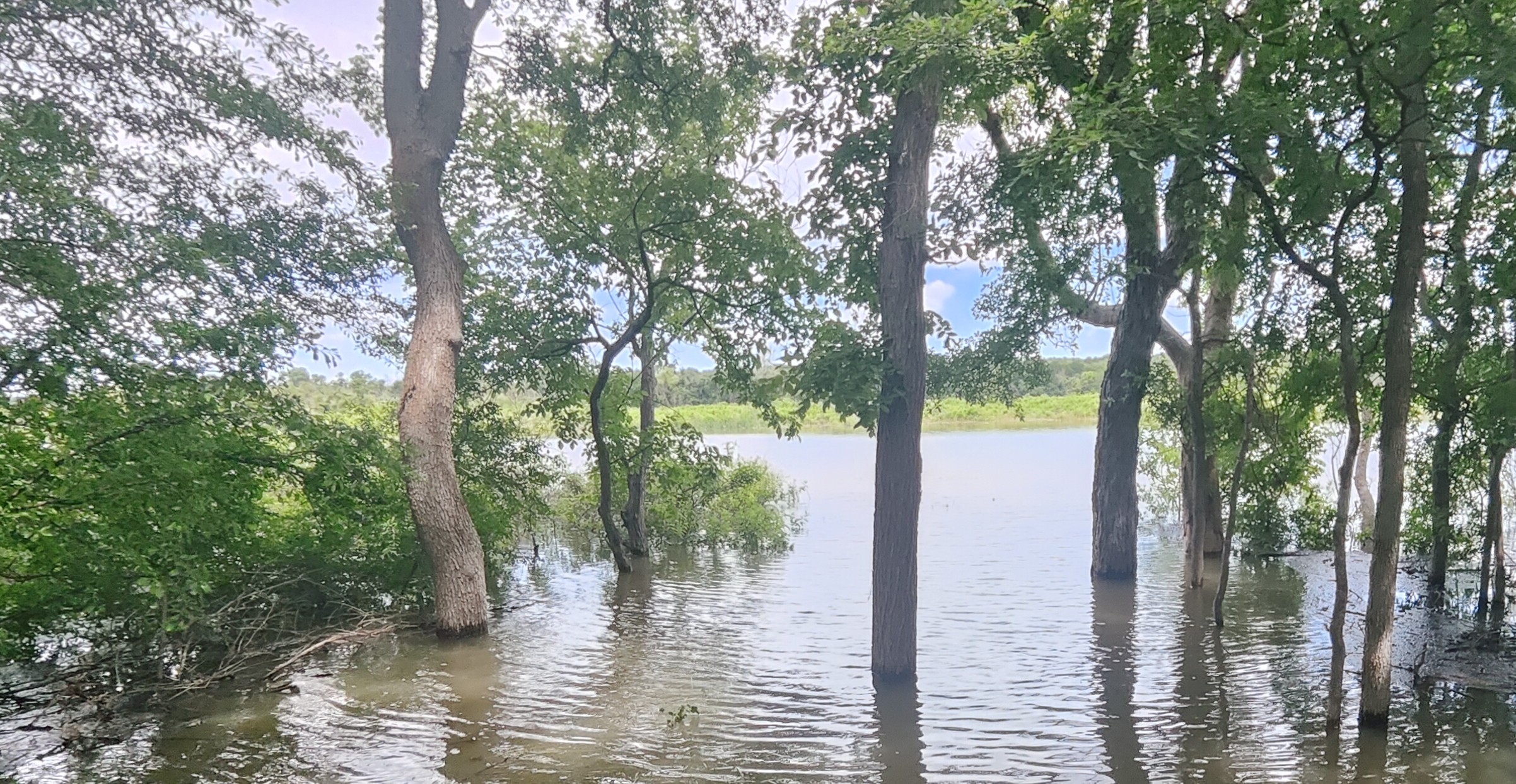 上涨的河水已经淹没了南岸的很多土地,Riverbottom 这条步道也断了