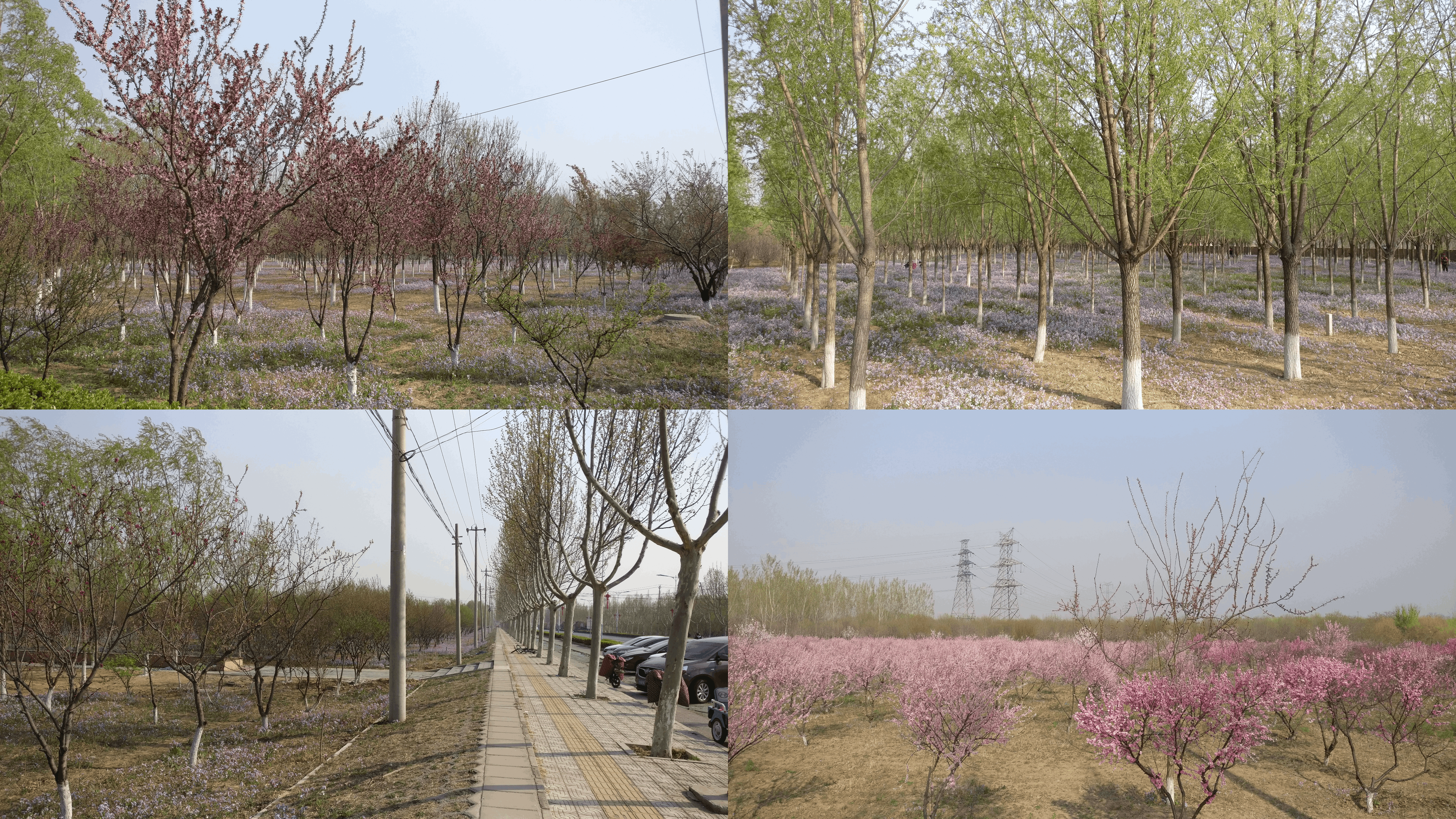 林地、花地、草地