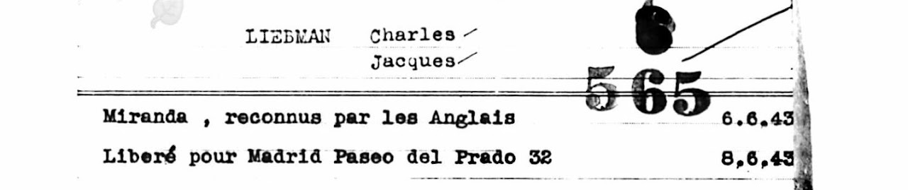Document 1946, Chalik Liebman