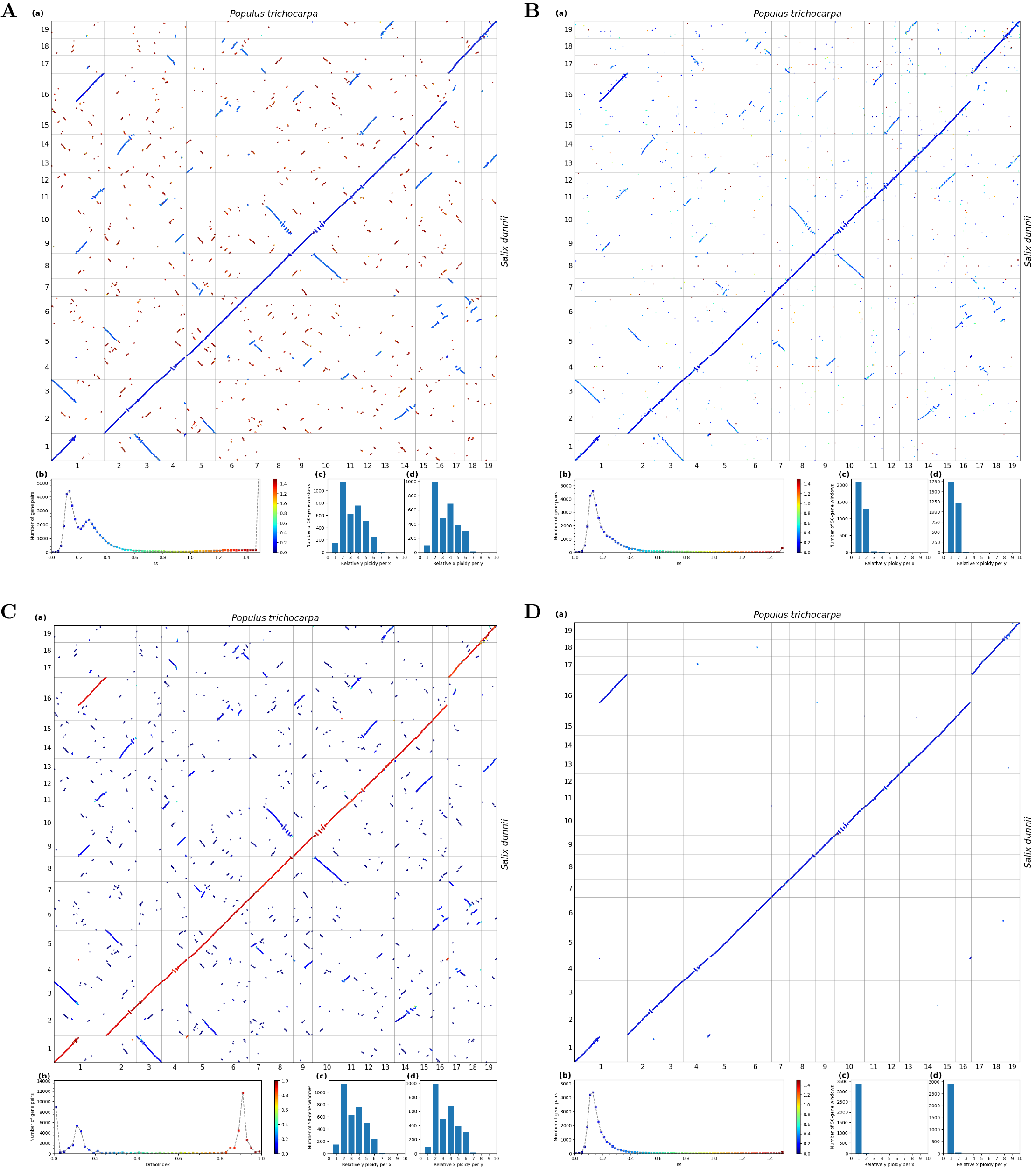 dotplots