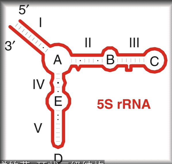 image-20260726161641415