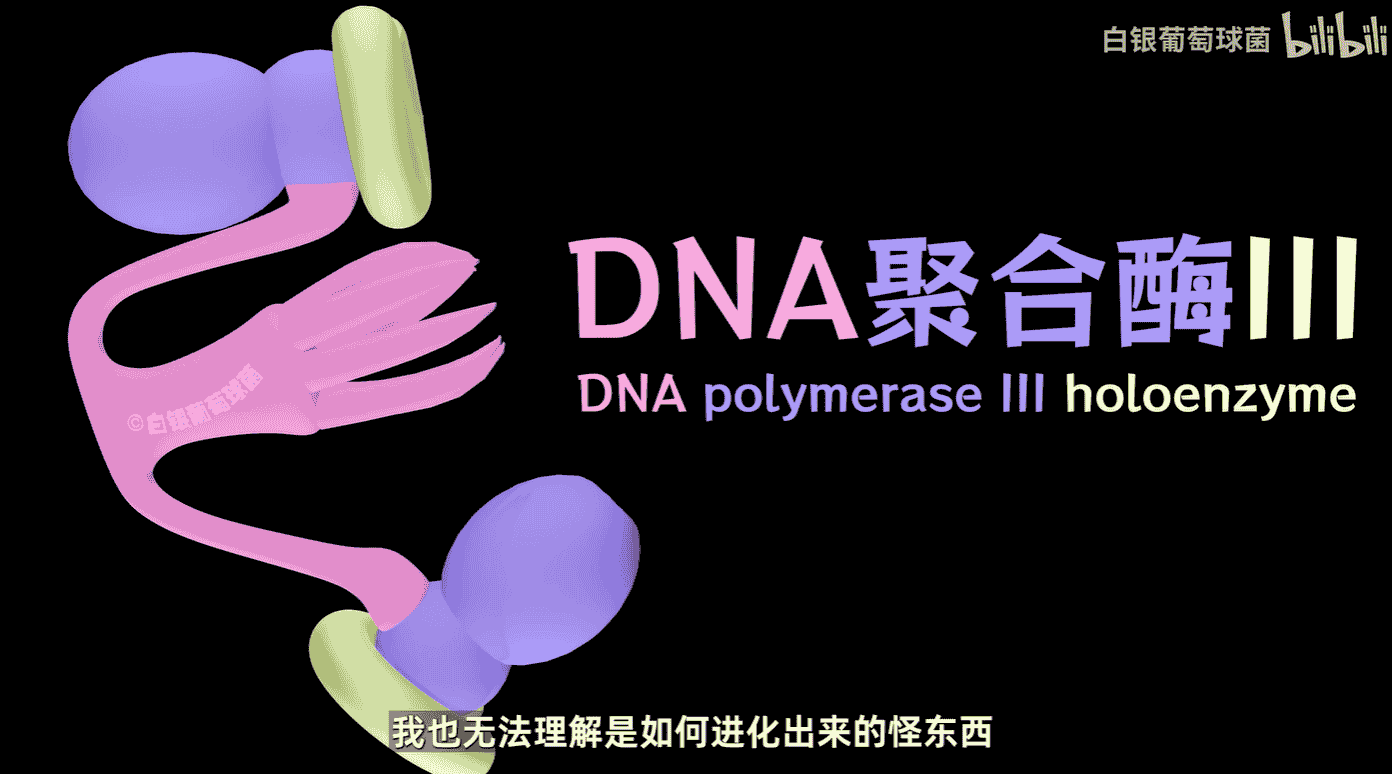 细菌DNA与抗生素