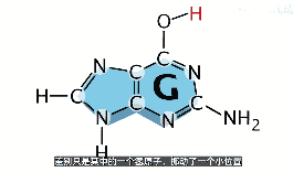 细菌基因突变 学习笔记