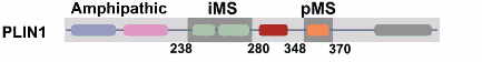 image-20260731143233064