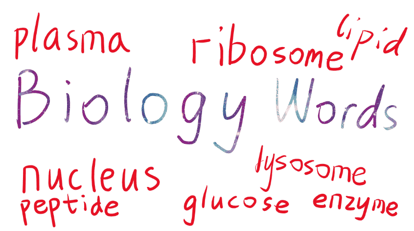 Academic Words of Biology 1 (Compulsory 1)