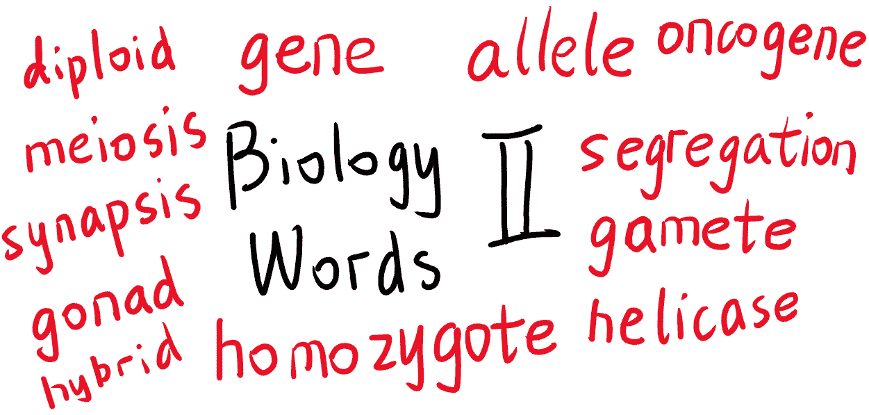 Academic Words of Biology (Compulsory 2)